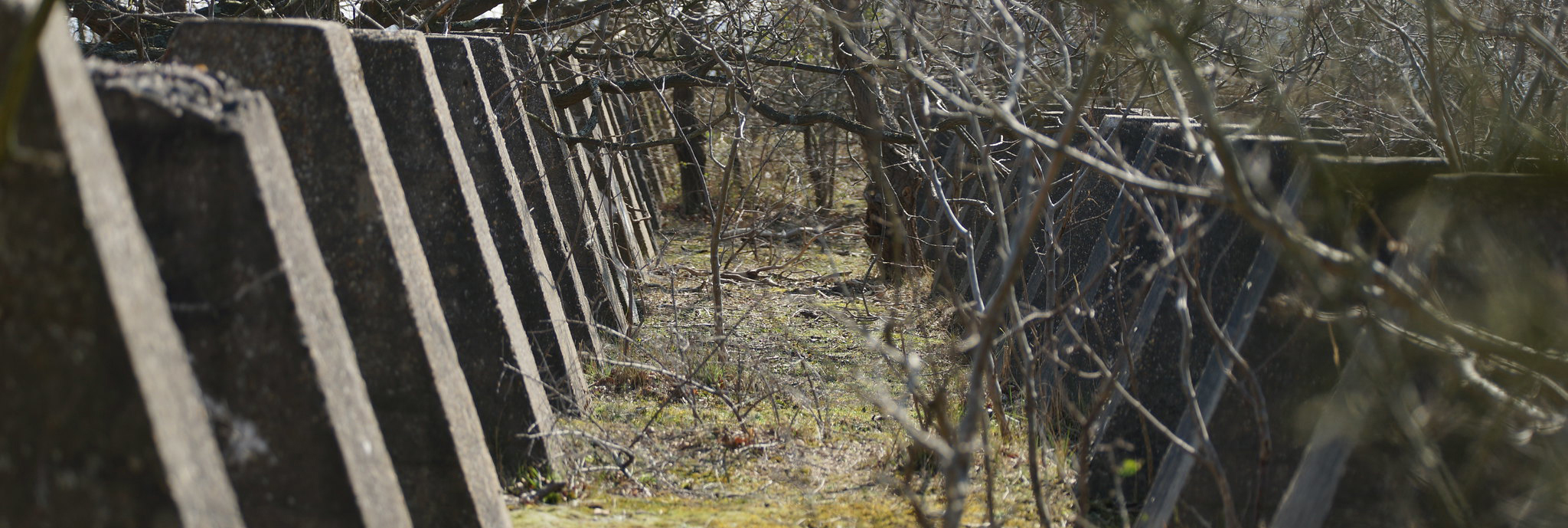 Photograph: Ronald van der Graaf / CC